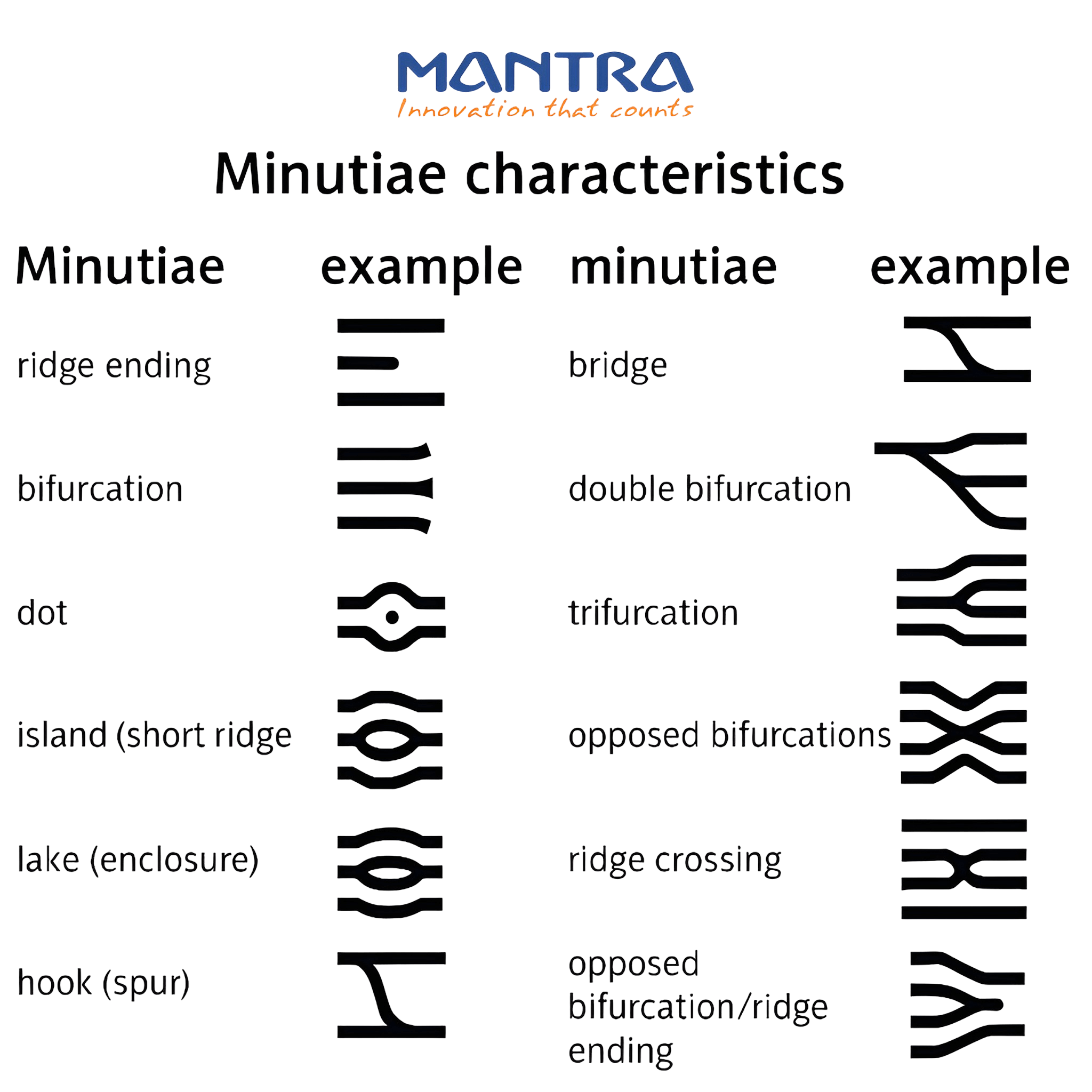 Fingerprint Minutiae Characteristics Fingerprint Minutiae Characteristics