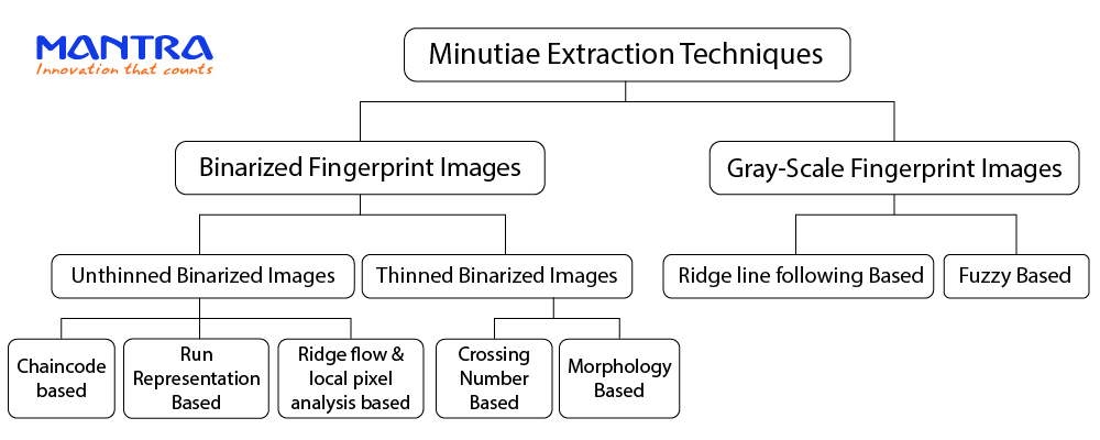 How To Extract Minutiae From Fingerprints How To Extract Minutiae From Fingerprints
