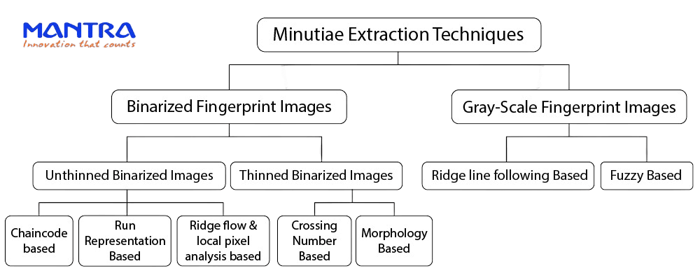 How To Extract Minutiae From Fingerprints How To Extract Minutiae From Fingerprints