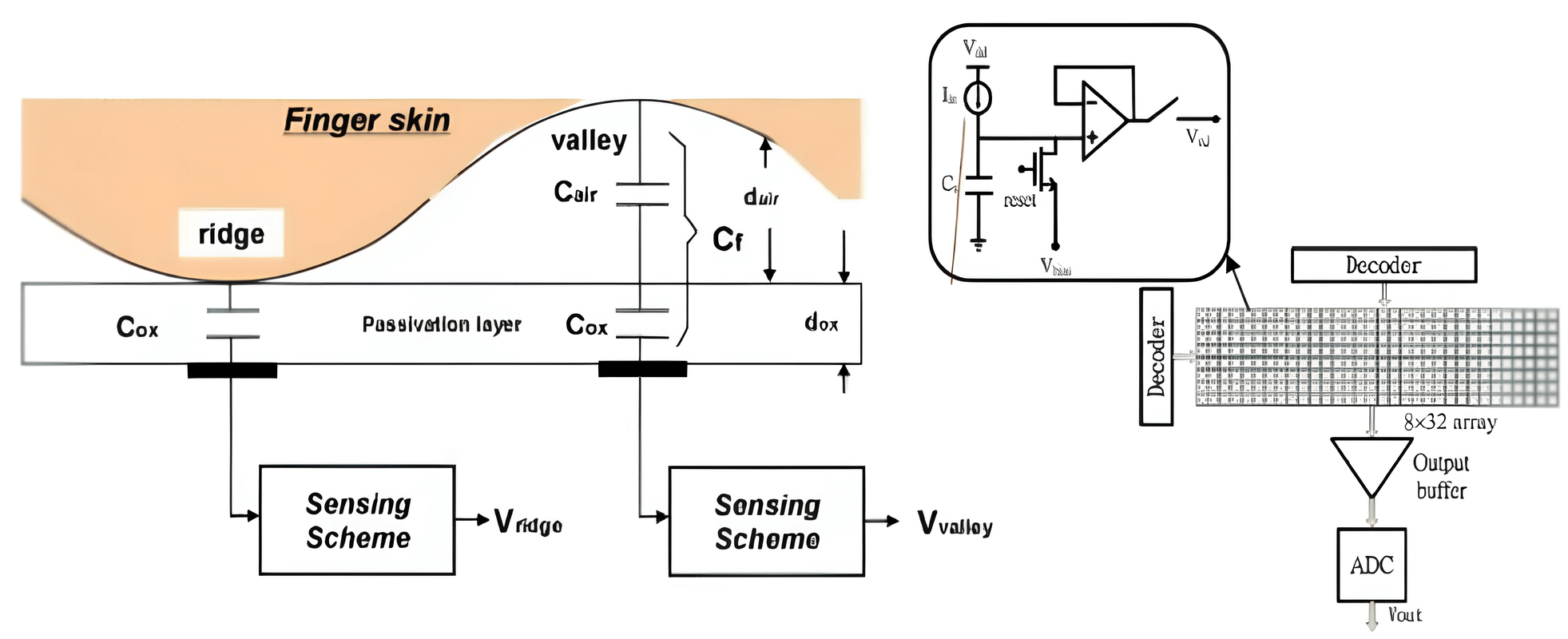 Capacitive Liveness Detection