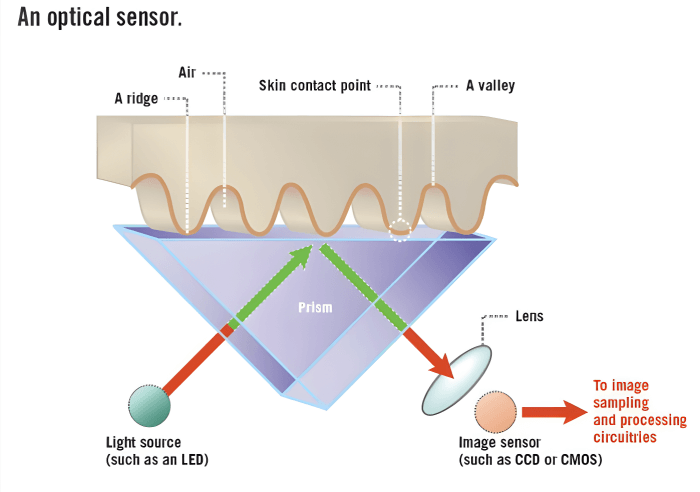 Optical Liveness Detection