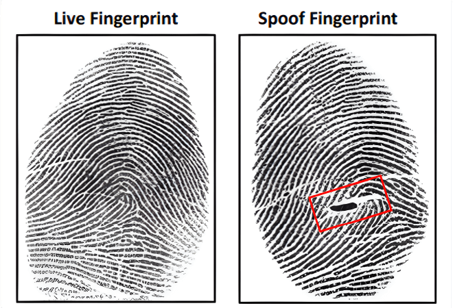 Science behind Fake Fingerprint Detection