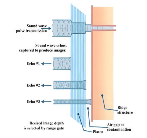 Ultrasonic Liveness Detection