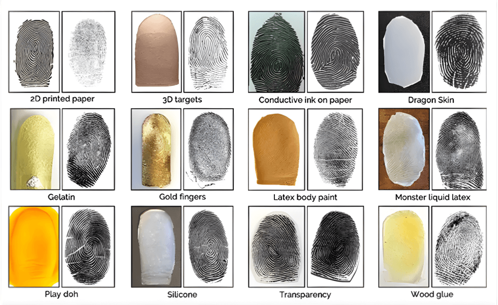 What are the Fake Fingerprints