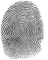 distinct fingerprints 1