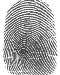 distinct fingerprints 2